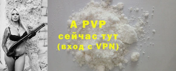 ECSTASY Вяземский