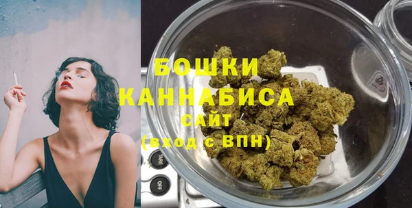 ECSTASY Вяземский