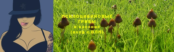 таблы Вязники