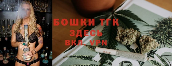 ECSTASY Вяземский