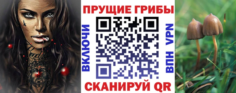 Галлюциногенные грибы прущие грибы  Нолинск 